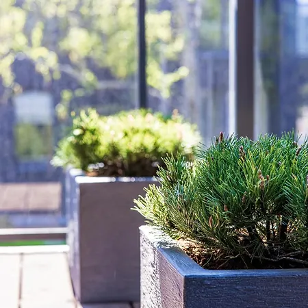 Apartamentas Vanagupes Parke *