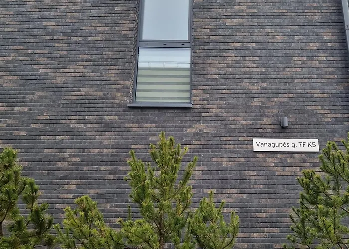 Διαμέρισμα Apartamentas Vanagupes Parke