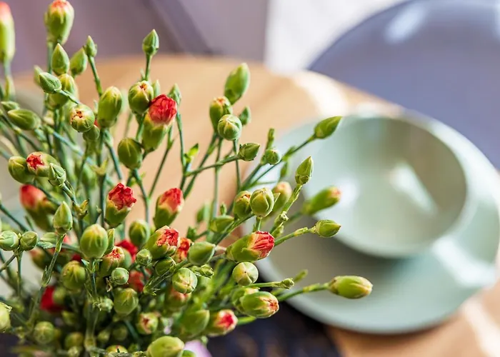 Apartamentas Vanagupes Parke