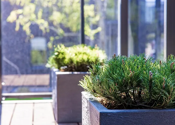 Apartamentas Vanagupes Parke *